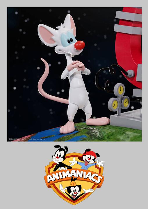 Actual product image Super7 Animaniacs figurine Ultimates Pinky 18 cm