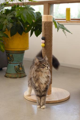 Produktbild Designed by Lotte Sinora (70 cm, Braun)