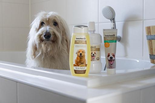 Produktbild Beeztees BZ MUNDWASSER HUND/KATZ 300ML (Hund)