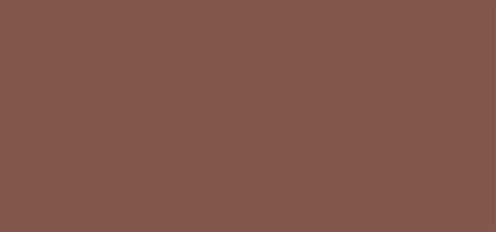 Actual product image L'Oréal Paris L'Oreal Haute (160 Bronze chiffon, Bronze chiffon, Brown)