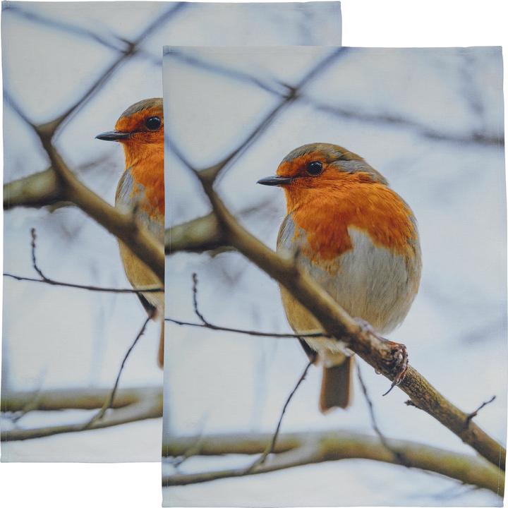 Image du produit Erwin Müller Geschirrtuch 2er-Pack (70 x 50 cm)