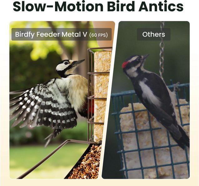 Immagine prodotto Birdfy Distributore di cibo con telecamera