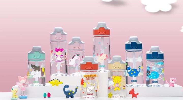 Actual product image Sigg Miracle Gasket Set