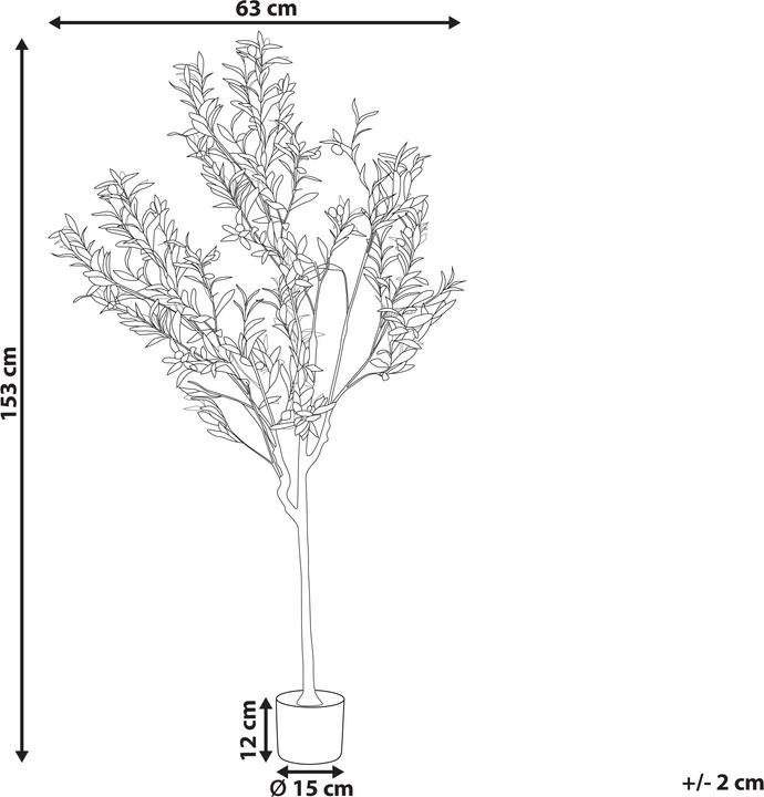 Immagine prodotto Beliani Olive Tree (153 cm)