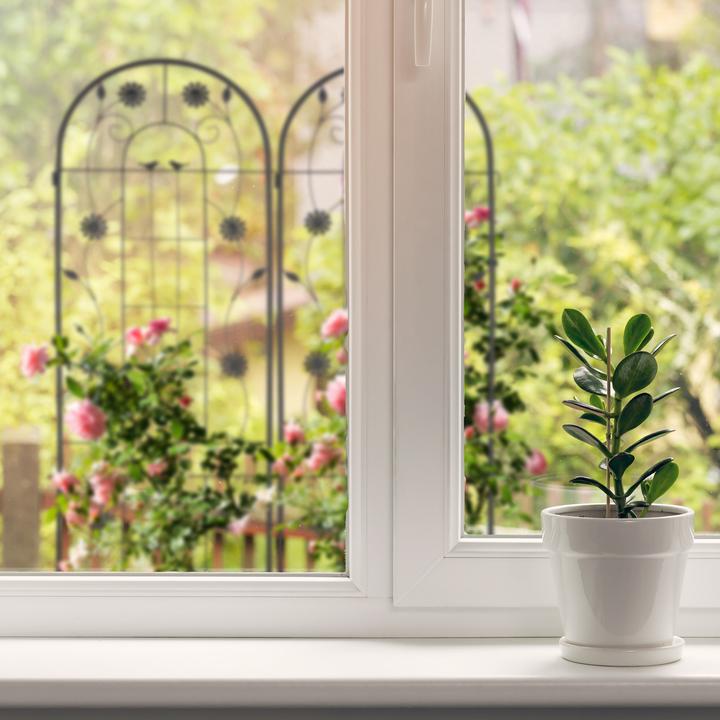 Actual product image Relaxdays 2x trellis (1.50 cm, 50 cm)