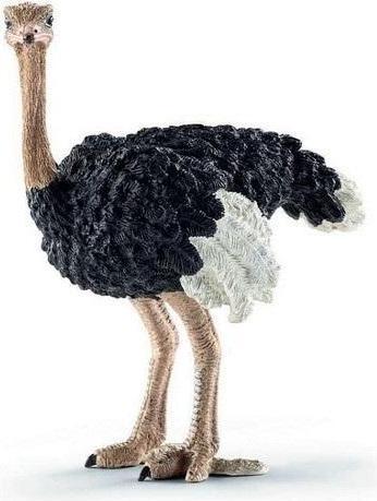 Produktbild Collecta Strauss