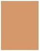 Produktbild Physicians Formula Matte Monoi Butter Bronzer 1711940E (Matte Deep, Bronzer)