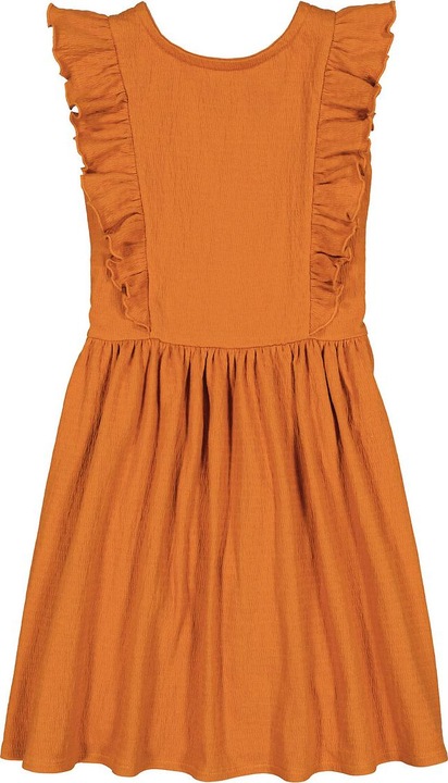 Image du produit La Redoute Collections Robe courte à volants (140)
