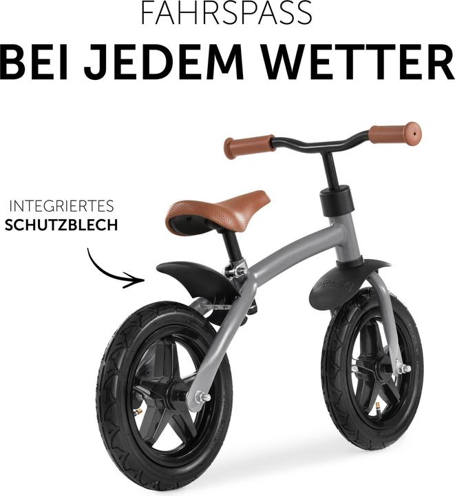 Produktbild Hauck E Z Rider 12 Matt Grey (12")