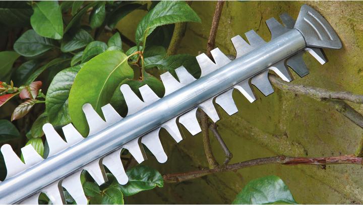 Immagine prodotto Bosch Home & Garden Set EasyHedgeCut 18-45 (Tagliasiepi a batteria)