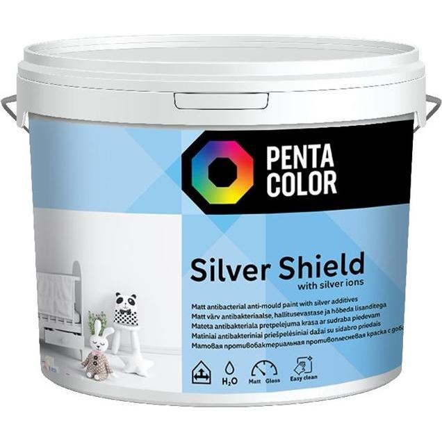 Pentacolor, Evidenziatori, Vernice Silver Shield 5l