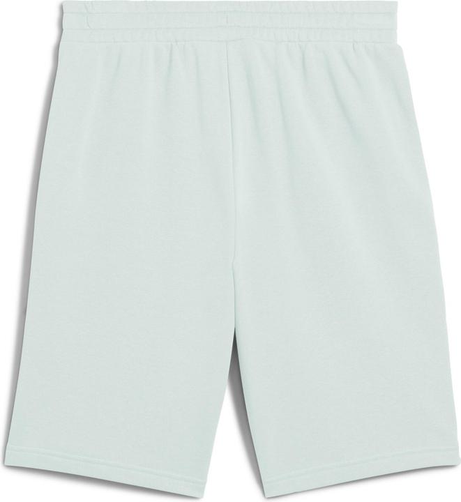 Actual product image Puma ESS 2 COLOR No. 1 Logo Shorts 10" TR (L)