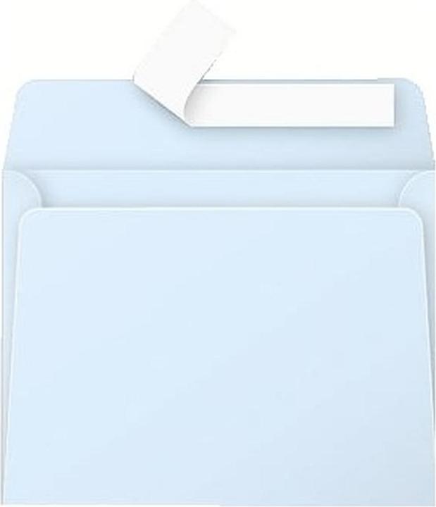 Actual product image Pollen Envelopes (90 x 140 mm, 20 x)