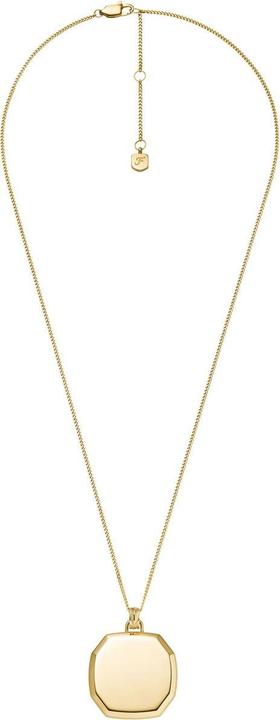 Image du produit Fossil JF04961710 Collier (Acier inoxydable)