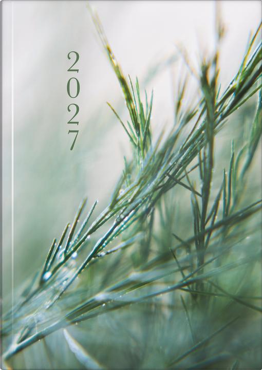 Produktbild Buchkal.Premium Young Line 2.7021507017 (1 Woche / 2 Seiten)