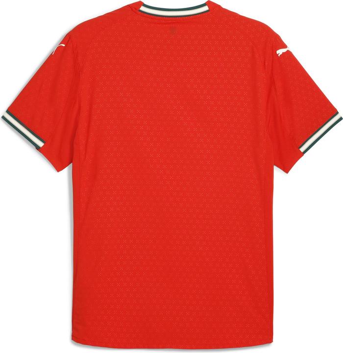 Produktbild Puma FPF Home Authentic Jersey (XL)