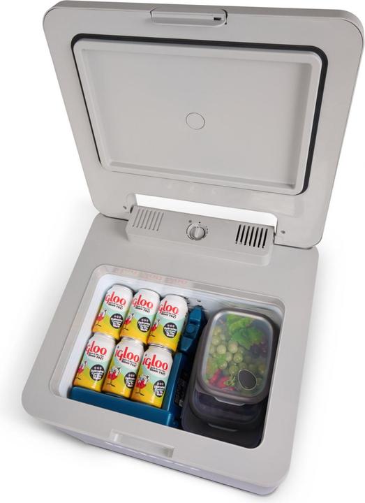 Actual product image Igloo IH 45 (43 l)