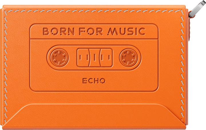 Produktbild FiiO Nest ECHO