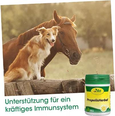 Actual product image cdVet PropolisHerbal (Adult, 1 pcs., 45 g)