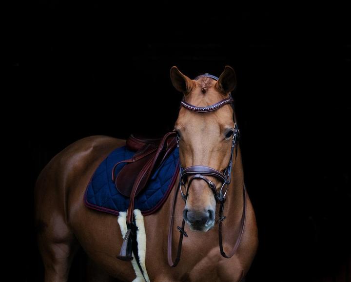 Image du produit HFI Master Padded Wave + Strass