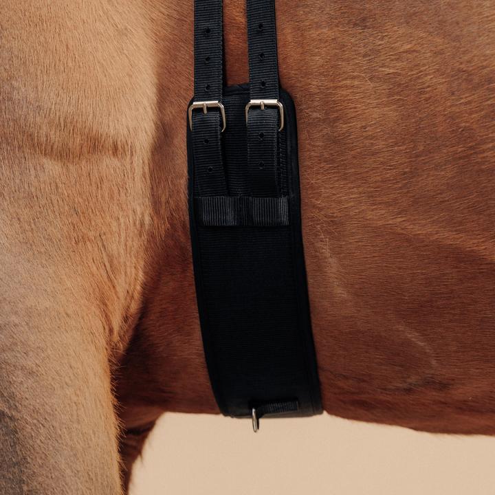 Actual product image Fouganza Lunging girth horse polypropylene