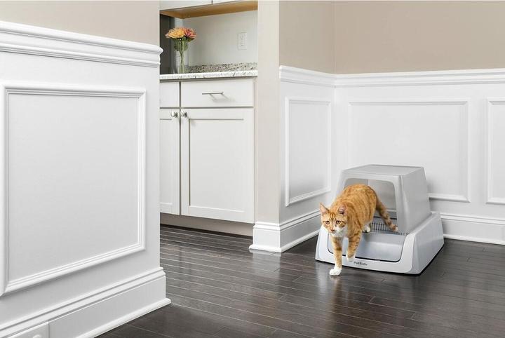 Immagine prodotto PetSafe ScoopFree (Lettiera autopulente)