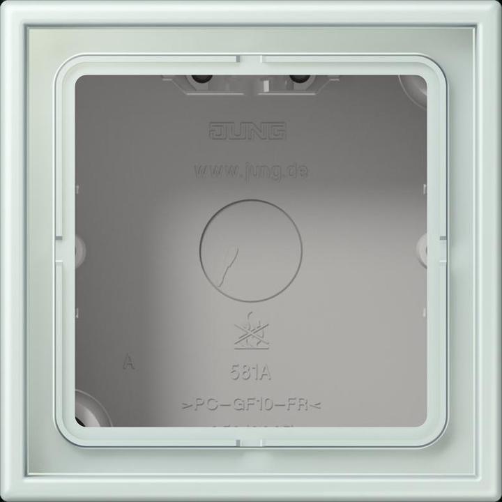cerulean pale(32034)