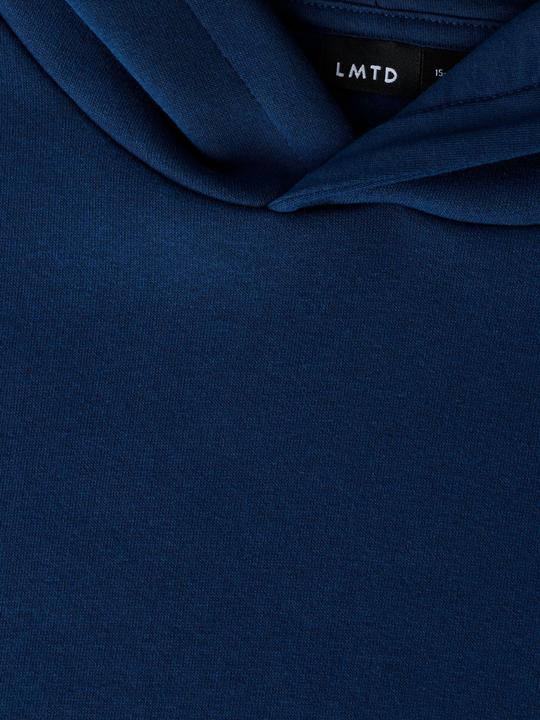 Produktbild Lmtd Regular Fit Hoodie (146, 152)