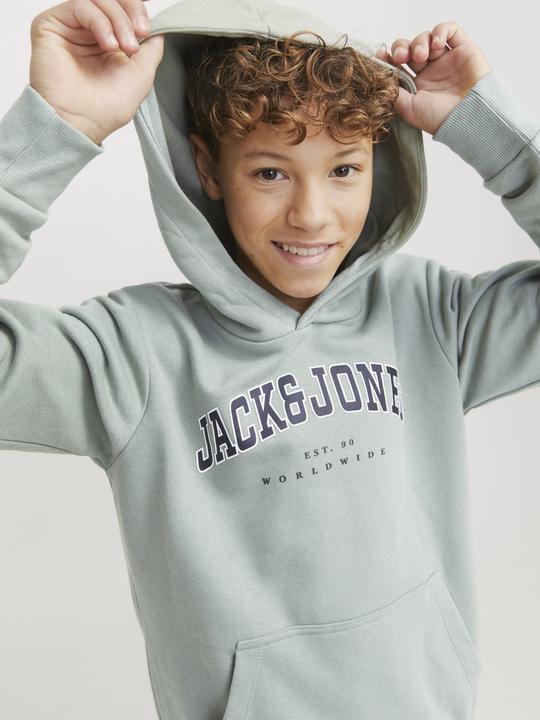 Image du produit Jack & Jones Jjecaleb Varsity Sweat Hood Noos Jnr (164)
