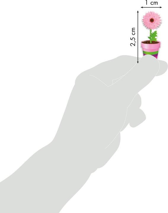 Produktbild My Mandarine Cooky