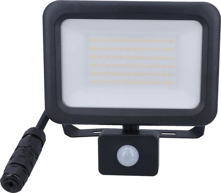 Image du produit As - Schwabe LED Strahler mit Bewegungsmelder (6000 lm, IP44)