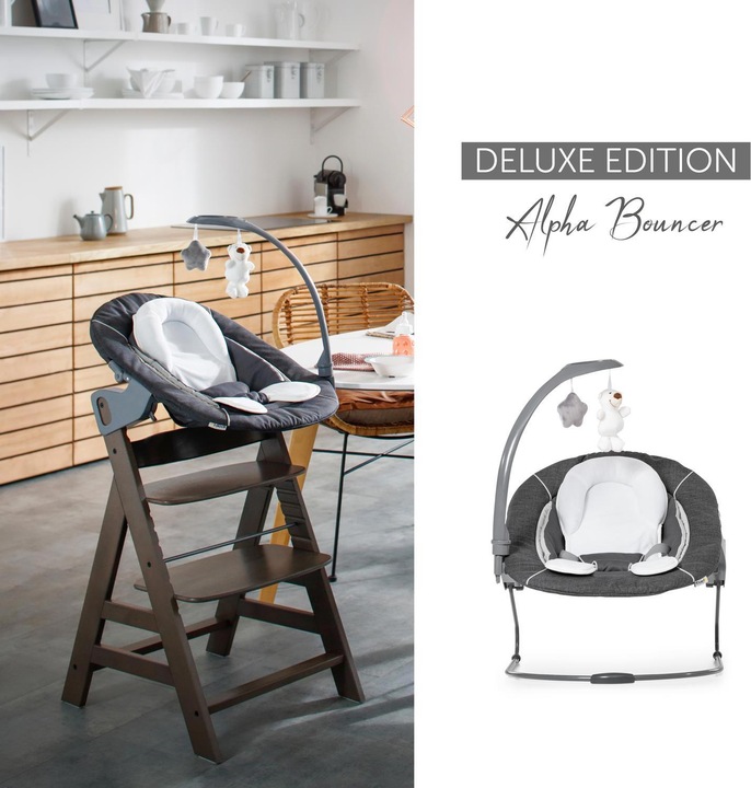 Actual product image Hauck Alpha Bouncer Deluxe
