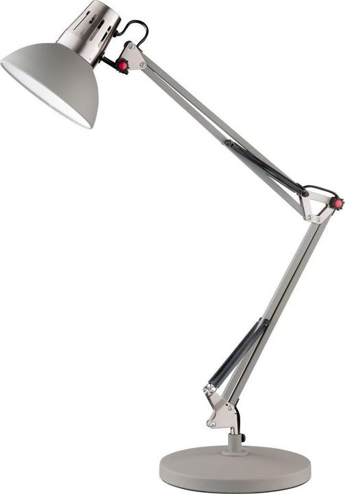 Fischer & Honsel Brolamp 1-lamp H 745mm Pit nickel/matt/grey (E27)