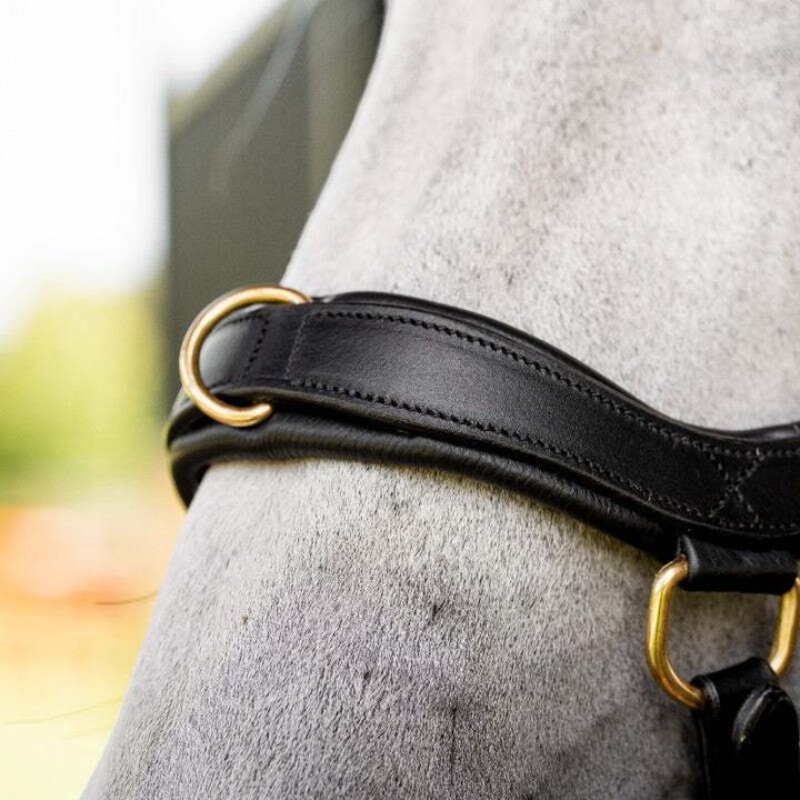 Image du produit Horseware Micklem Multi