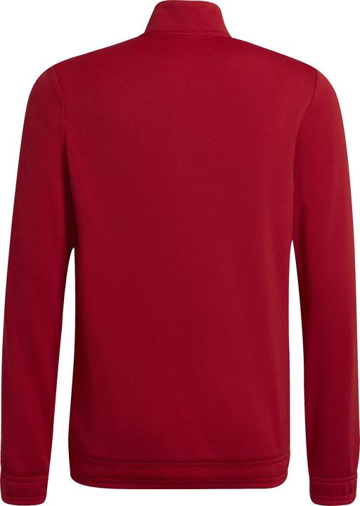 Actual product image adidas Entrada 22 training jacket kids (176)