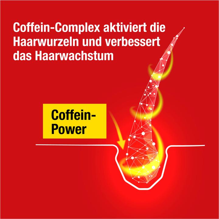Actual product image Alpecin Caffeine Shampoo C1 (250 ml, Liquid shampoo)