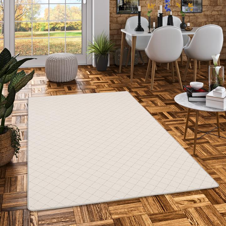 Immagine prodotto Snapstyle Tappeto per interni ed esterni Flatweave Oslo Check moderno (100 x 100 cm)