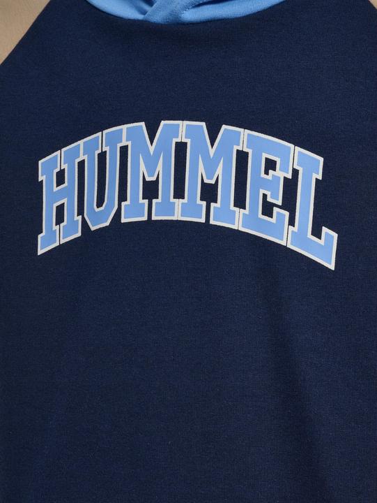 Actual product image hummel hmlESSEN HOODIE (134)