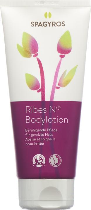 Actual product image Spagyros Ribes N Body Lotion Lot (Body cream, 200 ml)