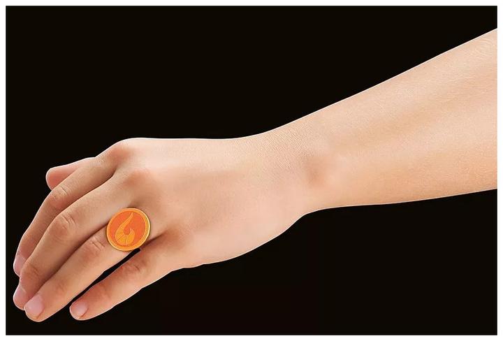 Actual product image Playmobil Rena Rouge (71339, Playmobil Miraculous)