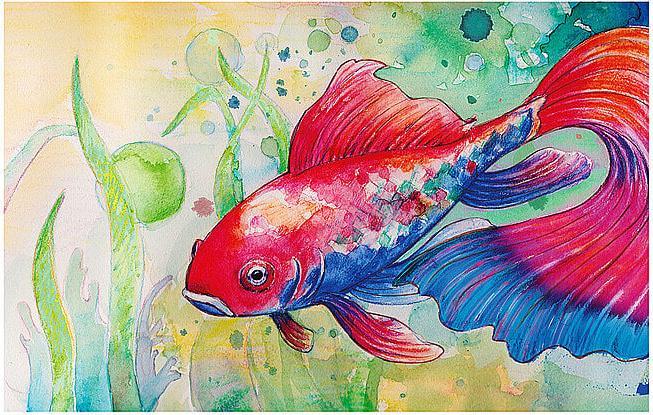 Actual product image Faber-Castell Geschenkset 21tlg AlbrechtDürer (21 x)