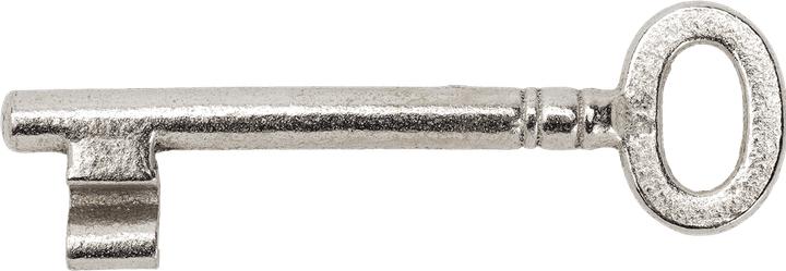 Actual product image Schänis Digit key