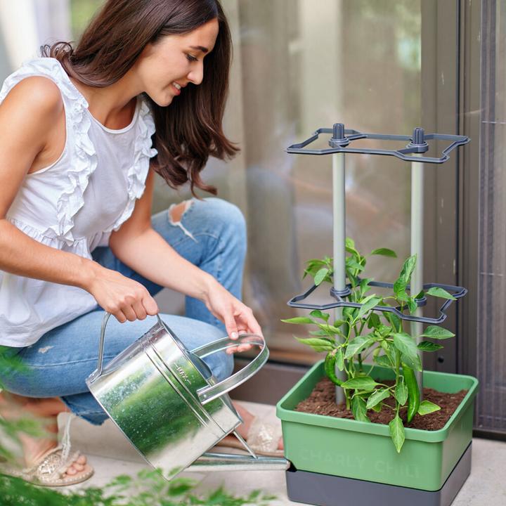 Produktbild Gusta Garden Charly Chili (27.50 cm)