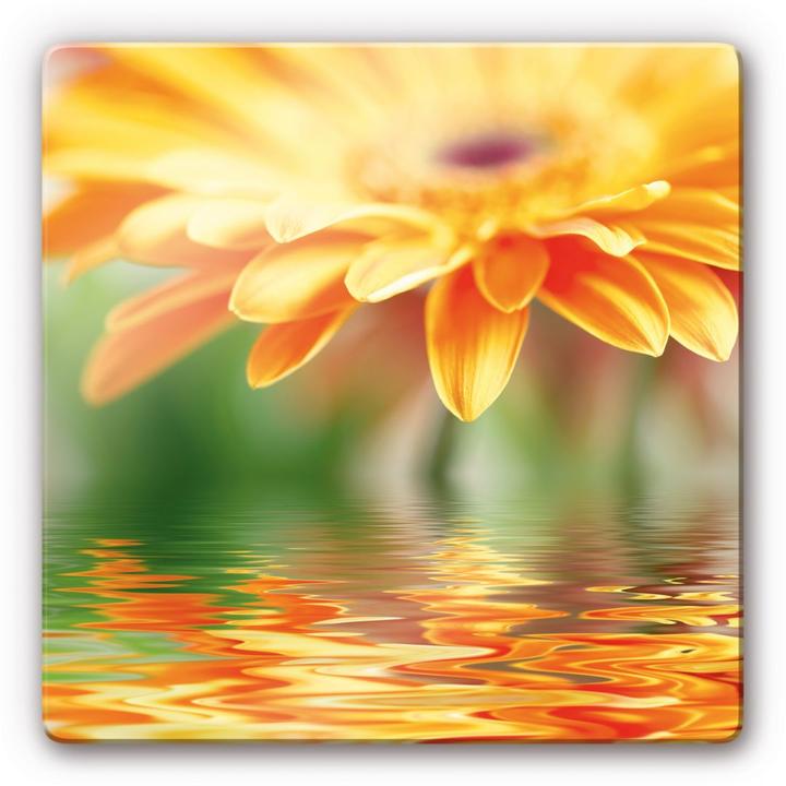 Actual product image Trenddeko Gerbera reflection (20 x 20 cm)