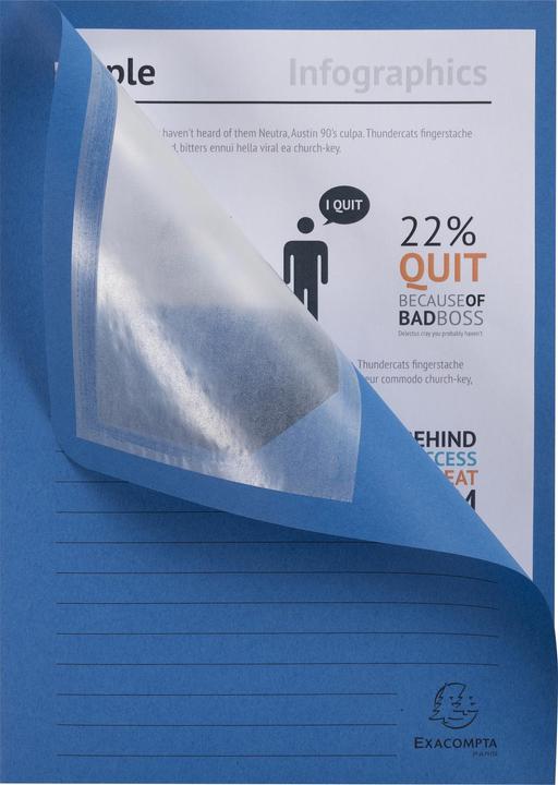 Immagine prodotto Exacompta Scrapbook - Copertine di file (A4, 100 x)