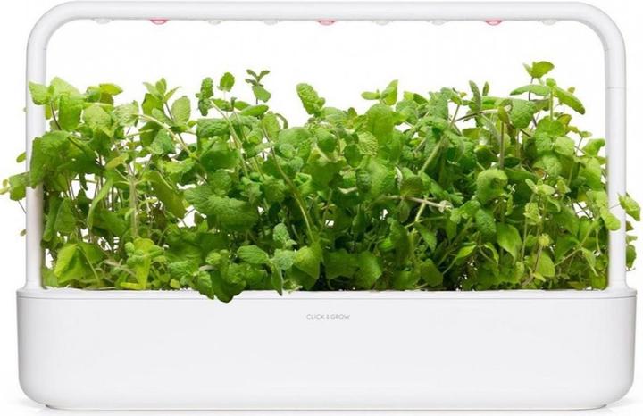 Produktbild Click and Grow Apfelminze (Kräutersamen)