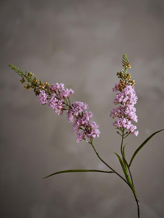 Actual product image Bloomingville Hydrangea (100 cm)