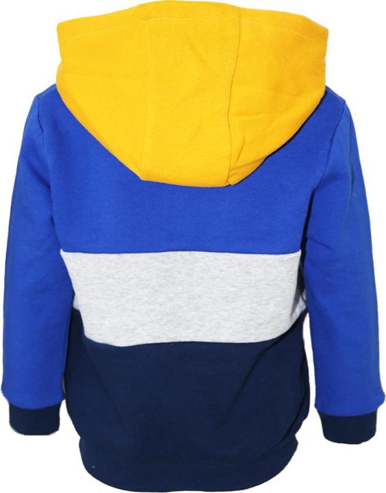 Image du produit Chelsea FC Sweat à capuche (68)