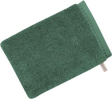 à feuilles persistantes