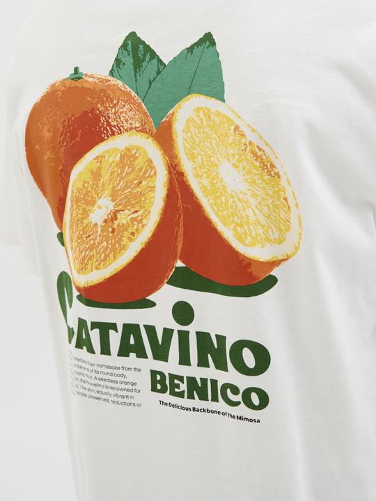 Produktbild Jack & Jones Jorbradley Fruits Tee Ss C.N Stmss25 (XL)